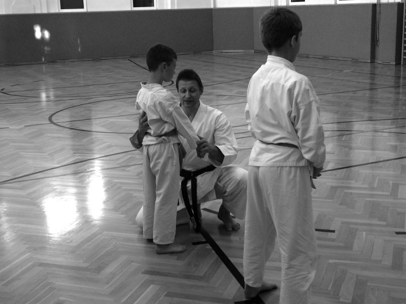 Dojo 2013-50